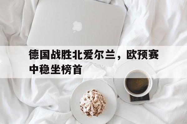 德国战胜北爱尔兰，欧预赛中稳坐榜首